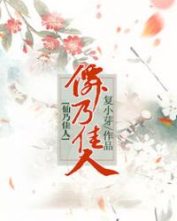 仙乃佳人小说封面